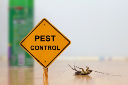 Pest Contol in Becontree Heath, Becontree, RM8. Call Now 020 8166 9746